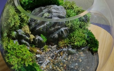 Terrarium, original art, made in NZ