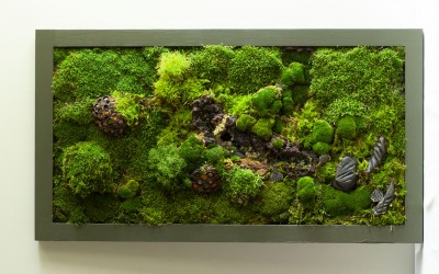 woody glade (103x57cm) $2100